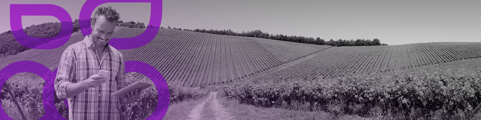 filière vigne & vin wineries sector