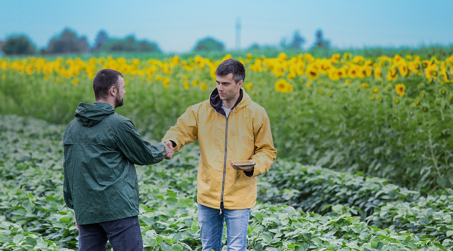 agricultural advisory management