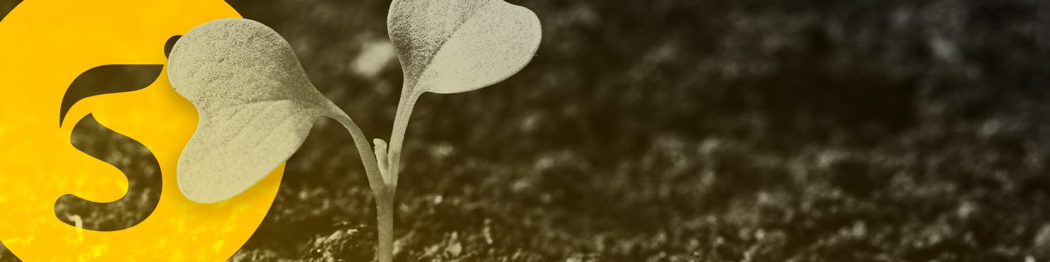 SMAG lance agreo SEEDS, nouveau logiciel de gestion pour la production de semences