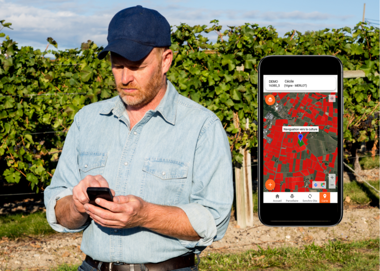 A vineyard management application to simplify the tasks of vineyard workers...
